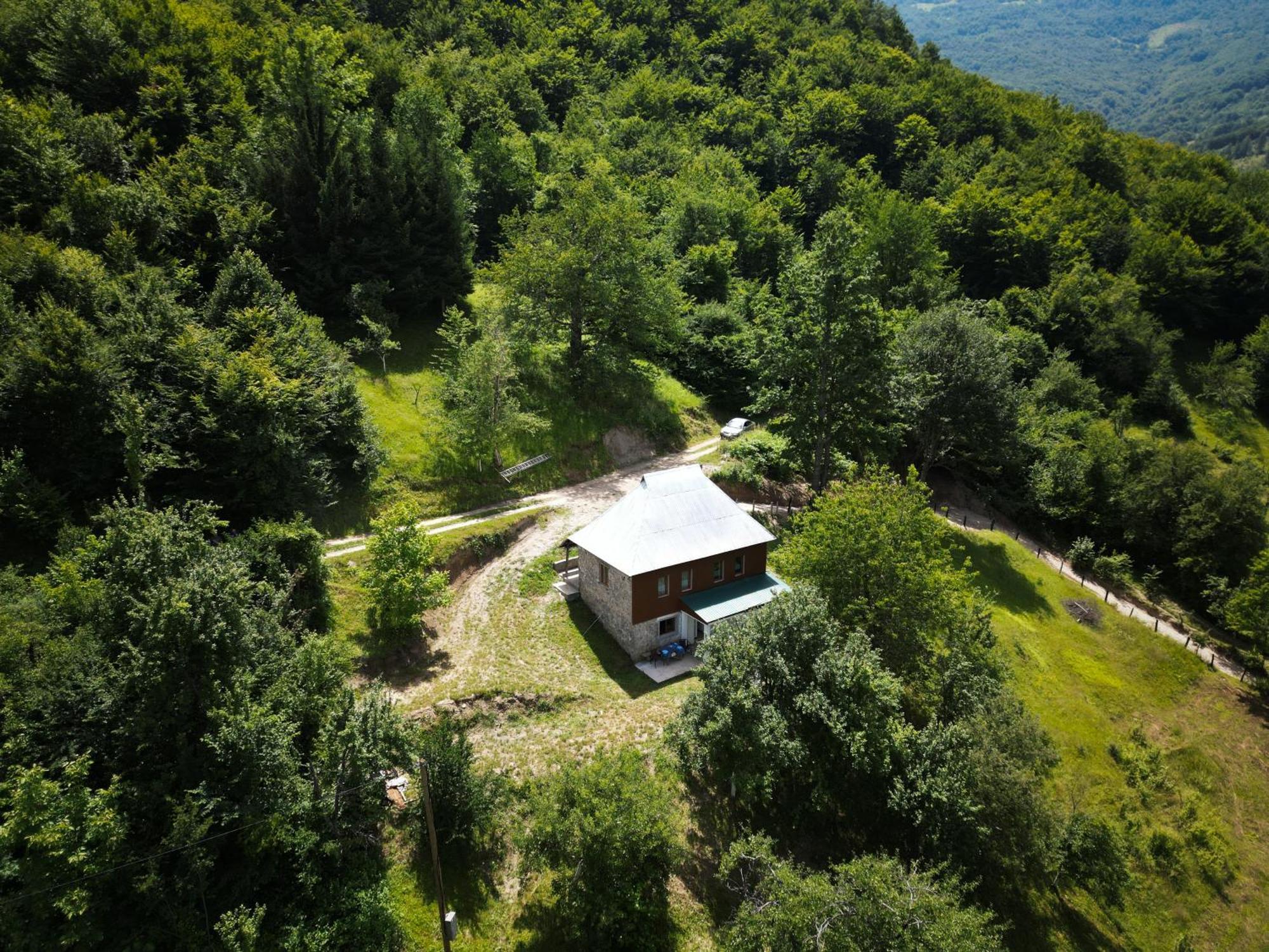 Ethno Guesthouse Tara 모이코바츠 외부 사진